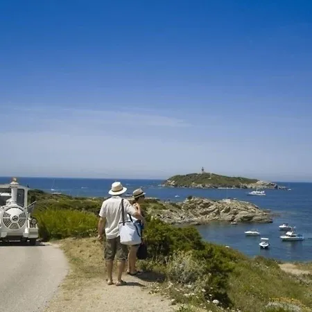 Laurier Six-Fours-les-Plages